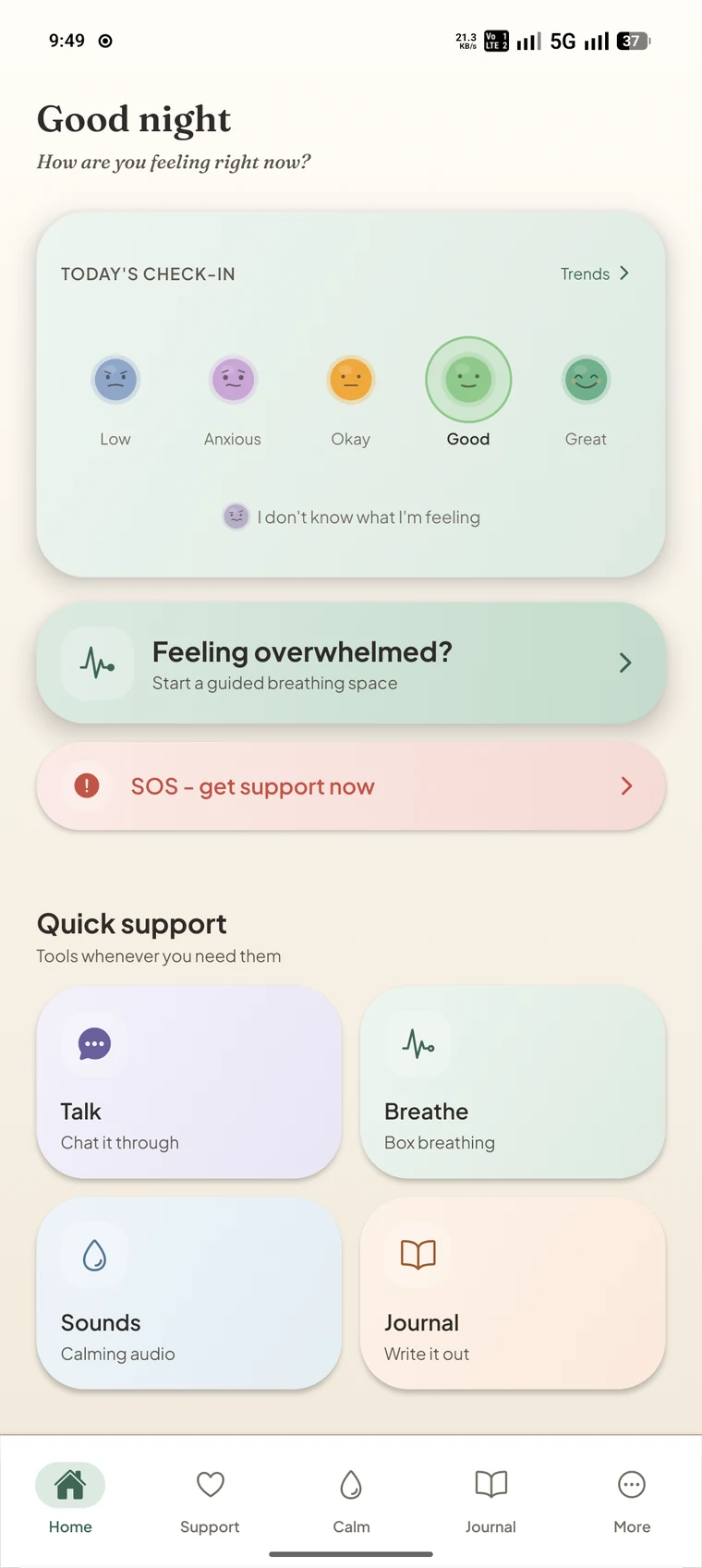 Dhyaniva Home screen, showing a one-tap mood check-in with Panic Mode and SOS always in reach.